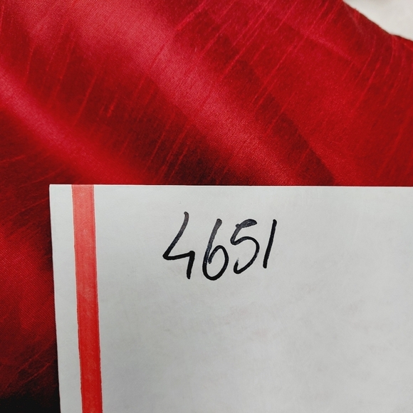 Alfred Sung Dupioni Red Sleeveless Open Back Flared Bridesmaid Dress P4651 - Picture 11 of 11